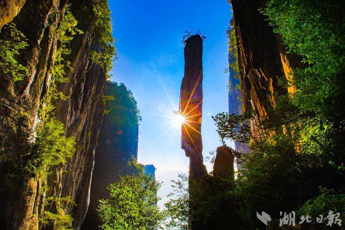 奇亿娱乐平台登录
